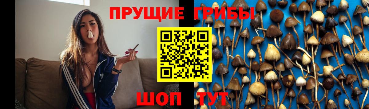 Псилоцибиновые грибы мухоморы  Вход с VPN  Псилоцибиновые грибы Psilocybe  Морозовск 